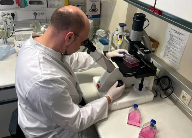 La Unión Europea advirtió que la viruela del mono podría volverse endémica si el brote continúa