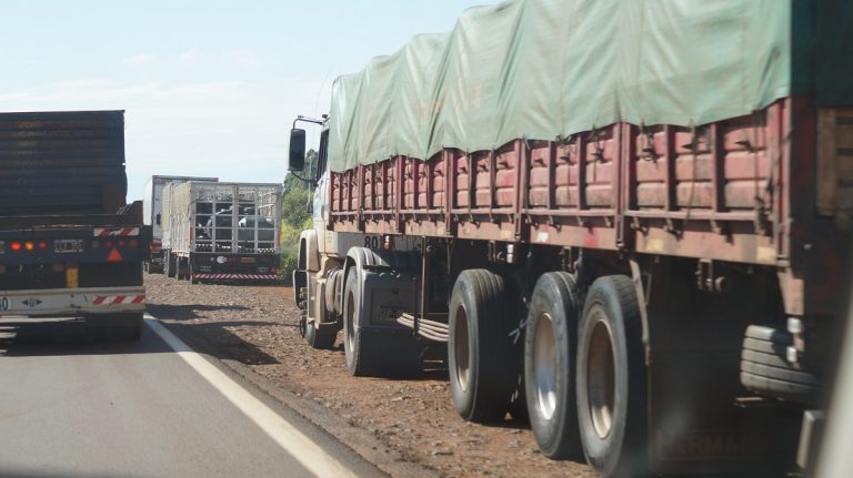 La ruta de la soja negra: los estrictos controles de Misiones como único filtro