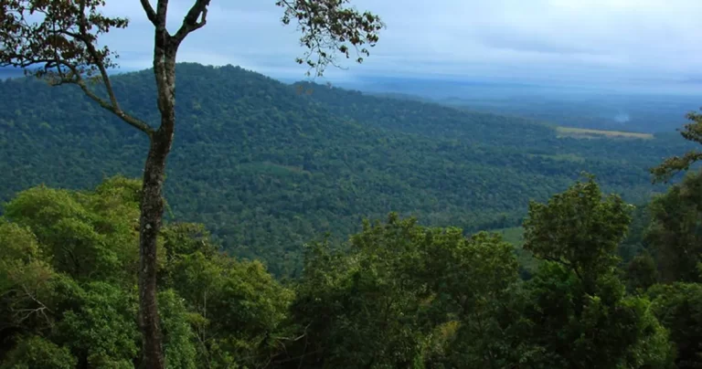 Viernes inestable y con probabilidades de lluvias