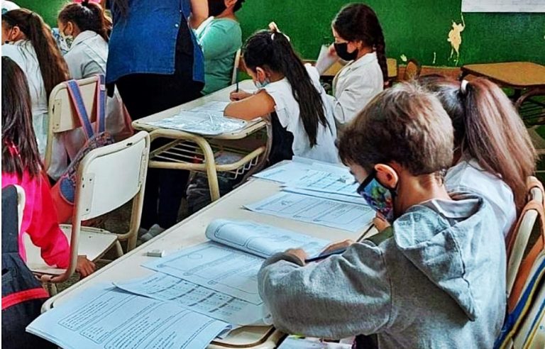 Se acentuaron las dificultades de lecto comprensión en las primarias