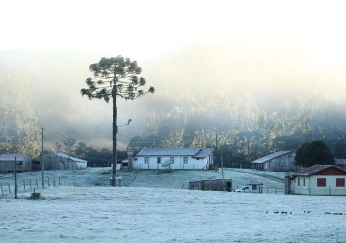 Ola polar en Misiones: este viernes se registraría la primera helada del año y el sábado se esperan temperaturas de 1 grado