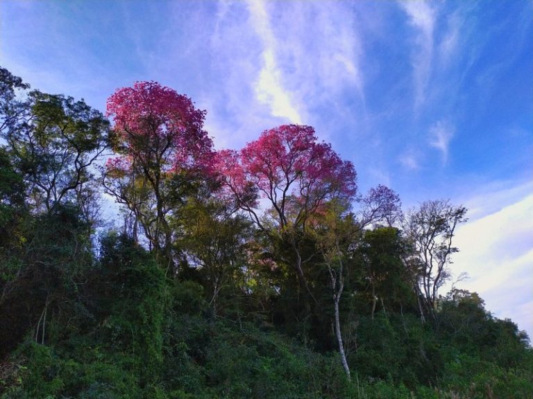 Jornada cálida con una temperatura que llegará a los 30 °C Jornada cálida con una temperatura que llegará a los 30 °C