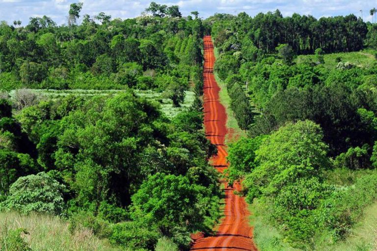 Inicio de semana con una jornada fría y una temperatura mínima de 4 °C Inicio de semana con una jornada fría y una temperatura mínima de 4 °C