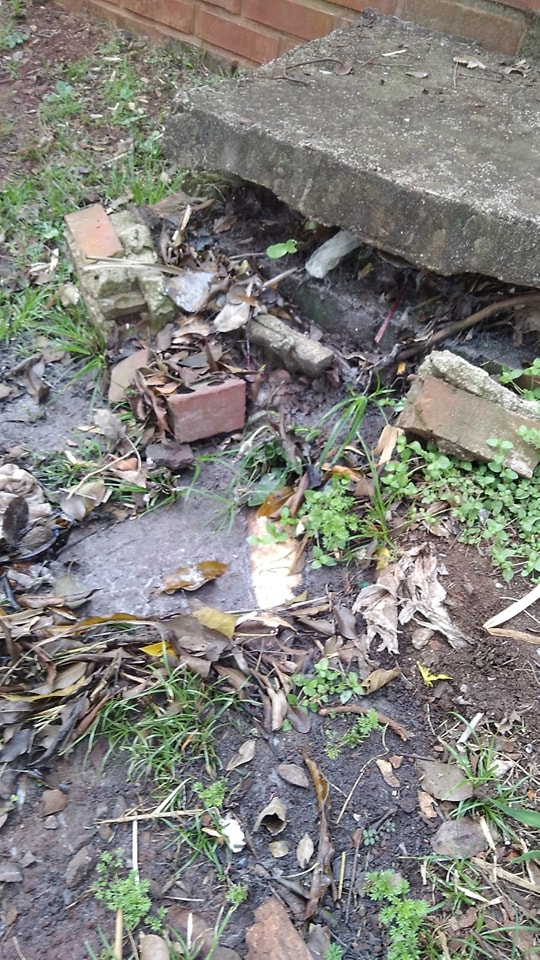 SANEAMIENTO AMBIENTAL