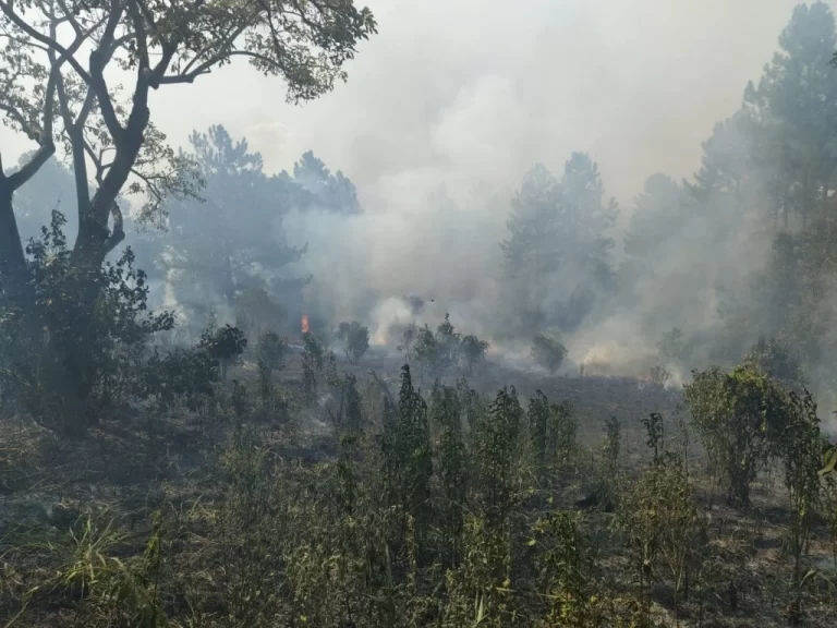 La provincia se prepara para un periodo de sequía e incendios forestales debido al fenómeno de La Niña