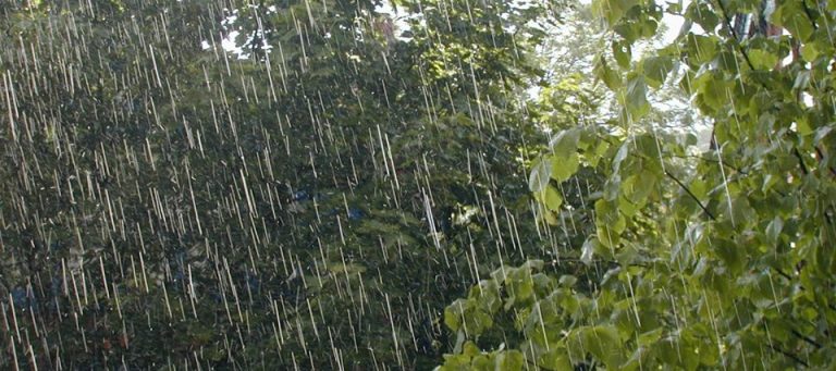 Advertencia Naranja: se acerca la tormenta con abundantes lluvias a la provincia