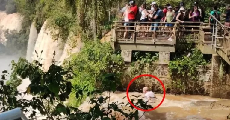 Continúa la búsqueda del turista argentino que cayó del Salto Bosetti en Cataratas