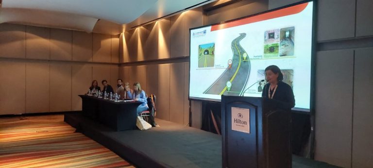 La construcción de pasafaunas en Misiones recibió una mención especial en el Congreso de Vialidad y Tránsito