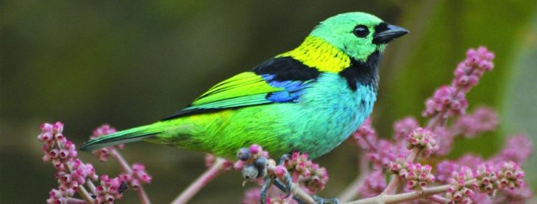 Miércoles parcialmente nublado con una temperatura que alcanzará los 34 °C Miércoles parcialmente nublado con una temperatura que alcanzará los 34 °C