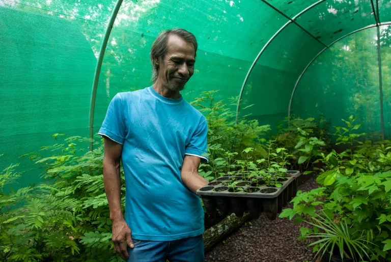 Jasy Po´ra, la primer aldea aborigen certificada como productora de semillas nativas