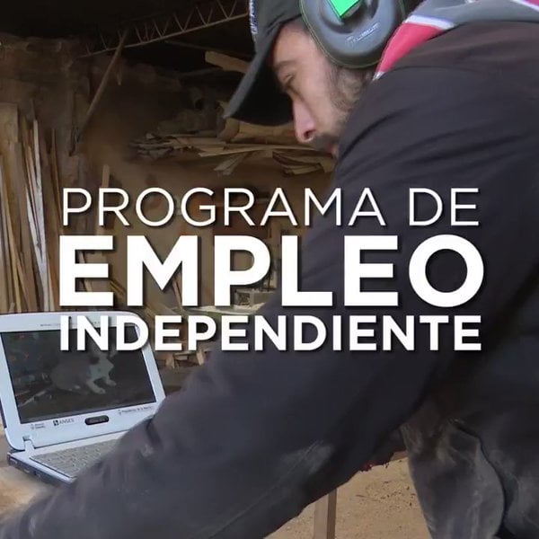 PEI, Programa de Empleo Independiente