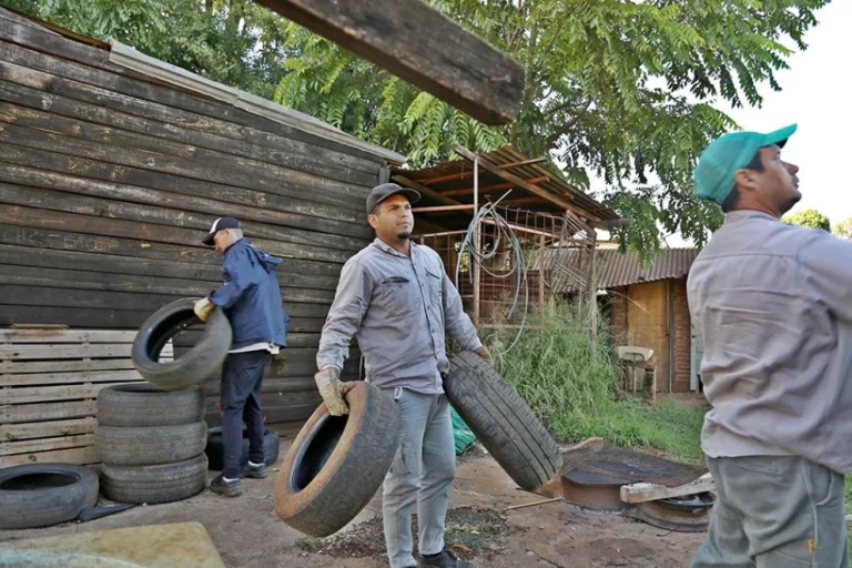 Dengue: Misiones registra DEN-1 y 29 pacientes sin antecedentes de viaje