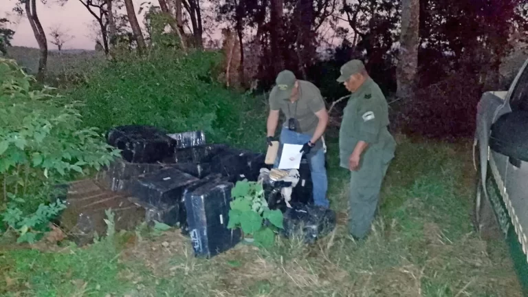 Narcotráfico en Misiones: Gendarmería halló una tonelada de marihuana entre la maleza