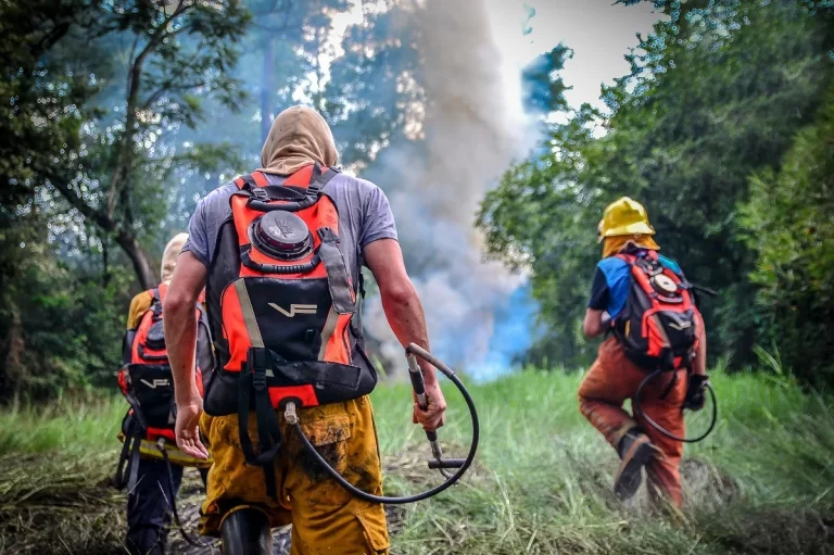 Misiones tendrá barreras ambientales para evitar incendios y protegerá las cuencas del Paraná y el Uruguay