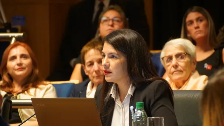 Reconocen el derecho a un duelo respetado y a la atención frente a la muerte gestacional y perinatal Reconocen el derecho a un duelo respetado y a la atención frente a la muerte gestacional y perinatal