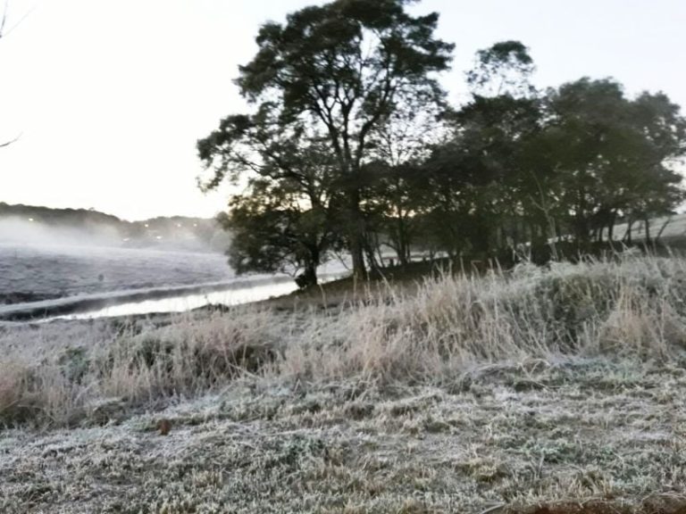 Con temperaturas de un dígito, el frío llegó a Misiones, pero menos que en el resto del país: ¿hasta cuándo afectará la ola polar?