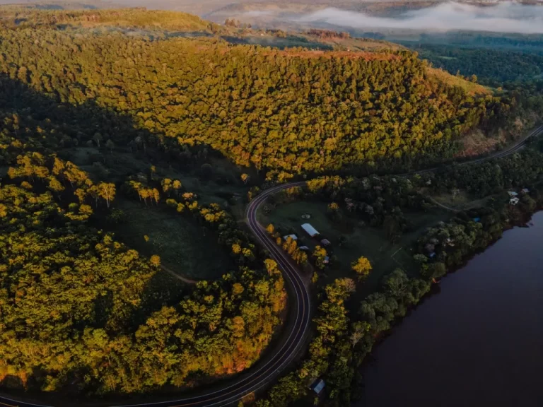 Con 101 reservas naturales, Misiones resguarda los recursos naturales y la biodiversidad