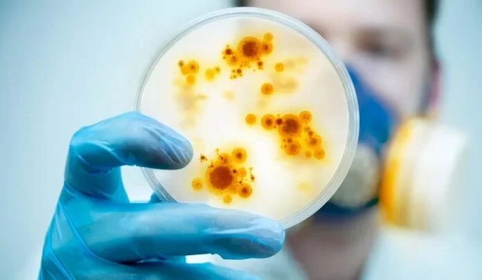 Alerta por récord de casos de meningitis en Argentina