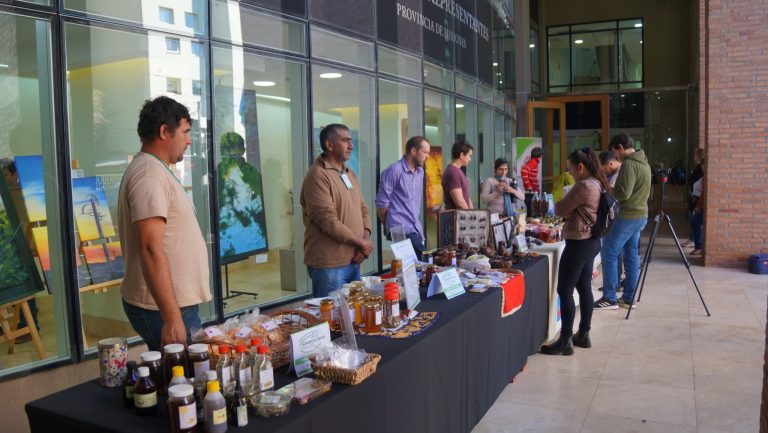 DIRECCIÓN DE MEDIO AMBIENTE