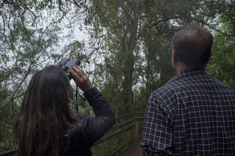 PUERTO IGUAZÚ ALOJÓ EL PRIMER ENCUENTRO INTERNACIONAL DE OBSERVACIÓN DE AVES PUERTO IGUAZÚ ALOJÓ EL PRIMER ENCUENTRO INTERNACIONAL DE OBSERVACIÓN DE AVES