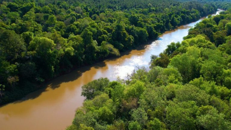 INICIA EL PERÍODO DE VEDA DE PESCA PARA RESGUARDAR LAS ESPECIES ÍCTICAS DE LA PROVINCIA