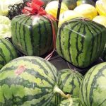 Sandías cuadradas se imponen cada vez más por la aceptación de clientes