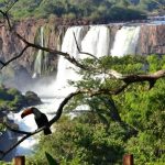 La provincia vive el día más frío del año con temperaturas que alcanzan los 6°C y heladas matinales