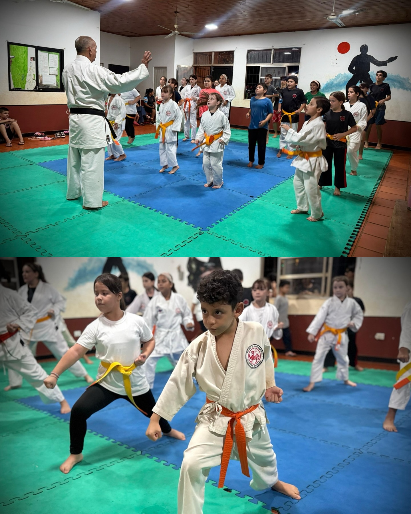 ¡KARATE PARA TODOS!