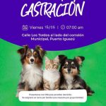 ZOONOSIS: TURNOS PARA CASTRACIONES DE FELINOS Y CANINOS