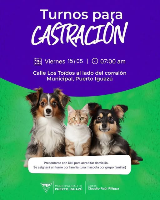 ZOONOSIS: TURNOS PARA CASTRACIONES DE FELINOS Y CANINOS