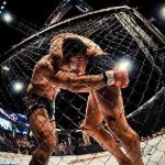 Gran noche de artes marciales mixtas en Iguazú