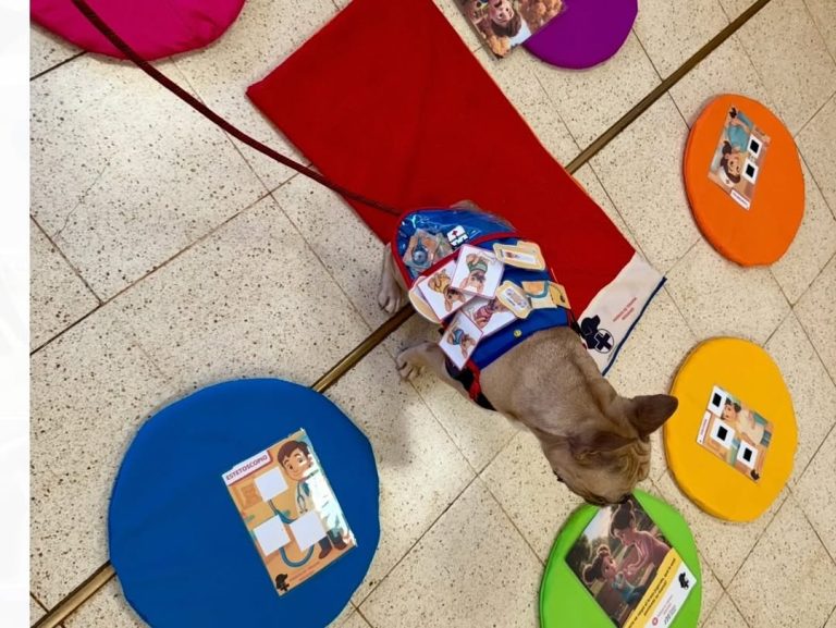 Perros de terapia brindan apoyo emocional y cognitivo a pacientes en hospitales de Misiones