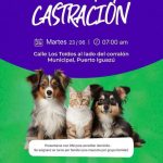 El cuidado animal también es una política de salud pública.