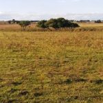 Intendentes piden a Arce, Rojas Decut y Goerling rechazar la ley de extranjerización de la tierra