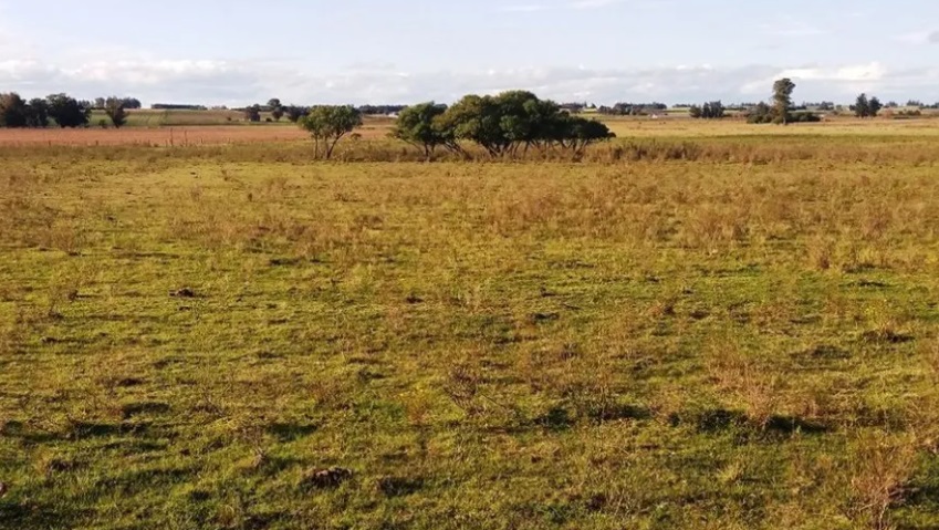 Intendentes piden a Arce, Rojas Decut y Goerling rechazar la ley de extranjerización de la tierra